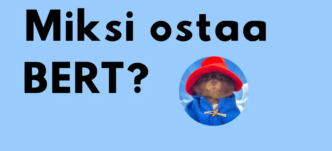 BERT-kryptovaluutan logo, punaiseen hattuun ja siniseen takkiin puettu pomeranian-koira, ja kysymys ”Miksi ostaa BERT?”